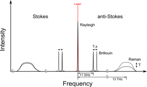 Schematic representation of the spectral components of scattered light within an optical fiber.